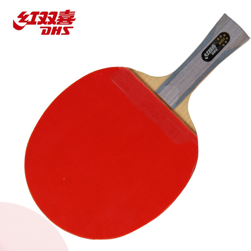 Table Tennis History - DHS 6 Star 6002 6006 Table