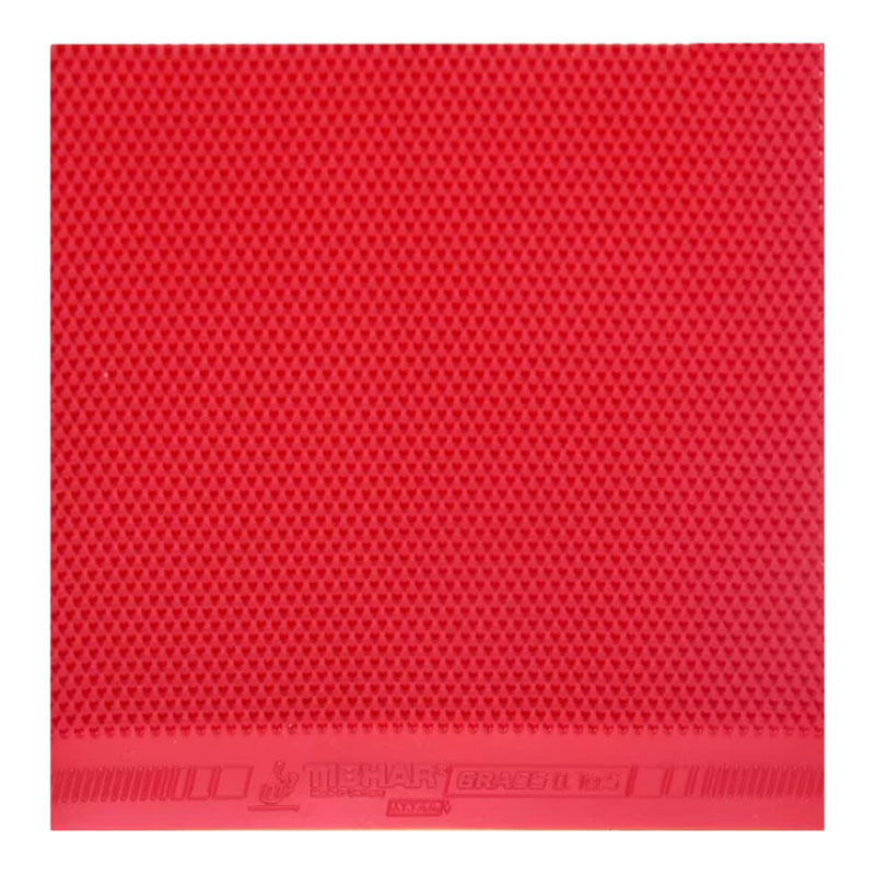 TIBHAR Grass D.TecS Table Tenn - Table Tennis Rubber Protective Film recension och pris
