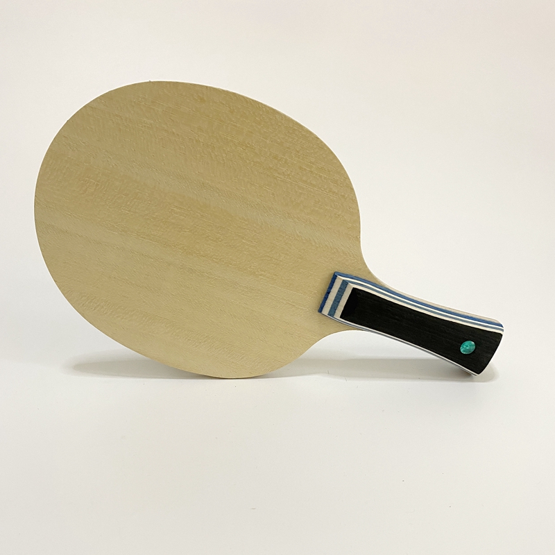 Lemuria VIS Carbon Fiber Table - Table Tennis Zlc recension och pris