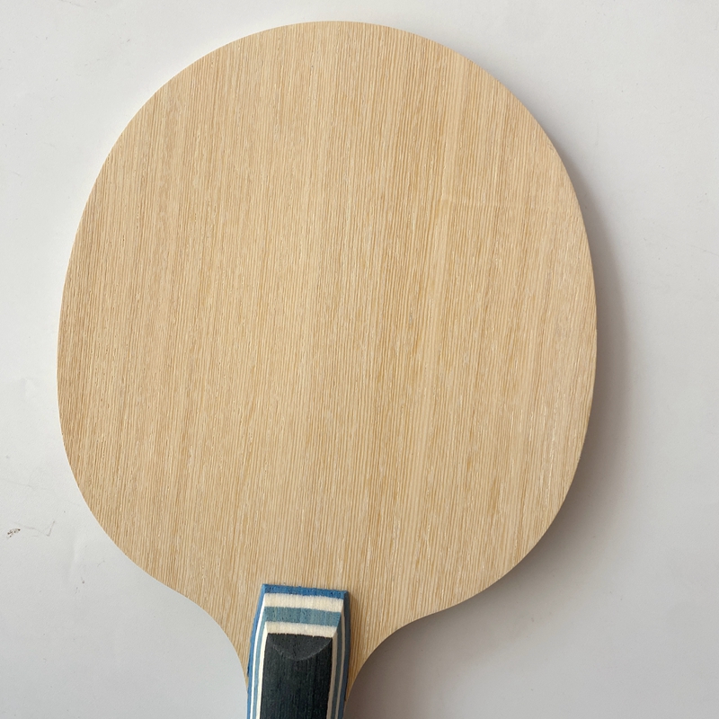 Lemuria VIS Carbon Fiber Table - Table Tennis Zlc recension och pris