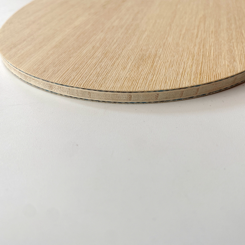 Lemuria VIS Carbon Fiber Table - Table Tennis Zlc recension och pris