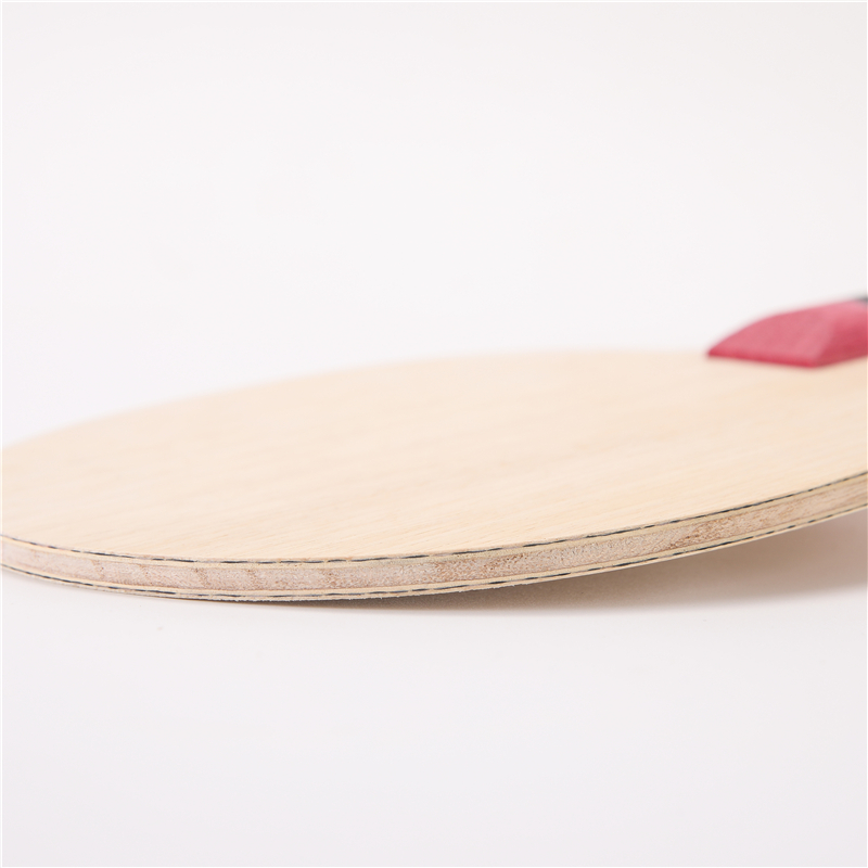 Stuor 5 Layers Wood With 2 Lay - Table Tennis Zlc recension och pris